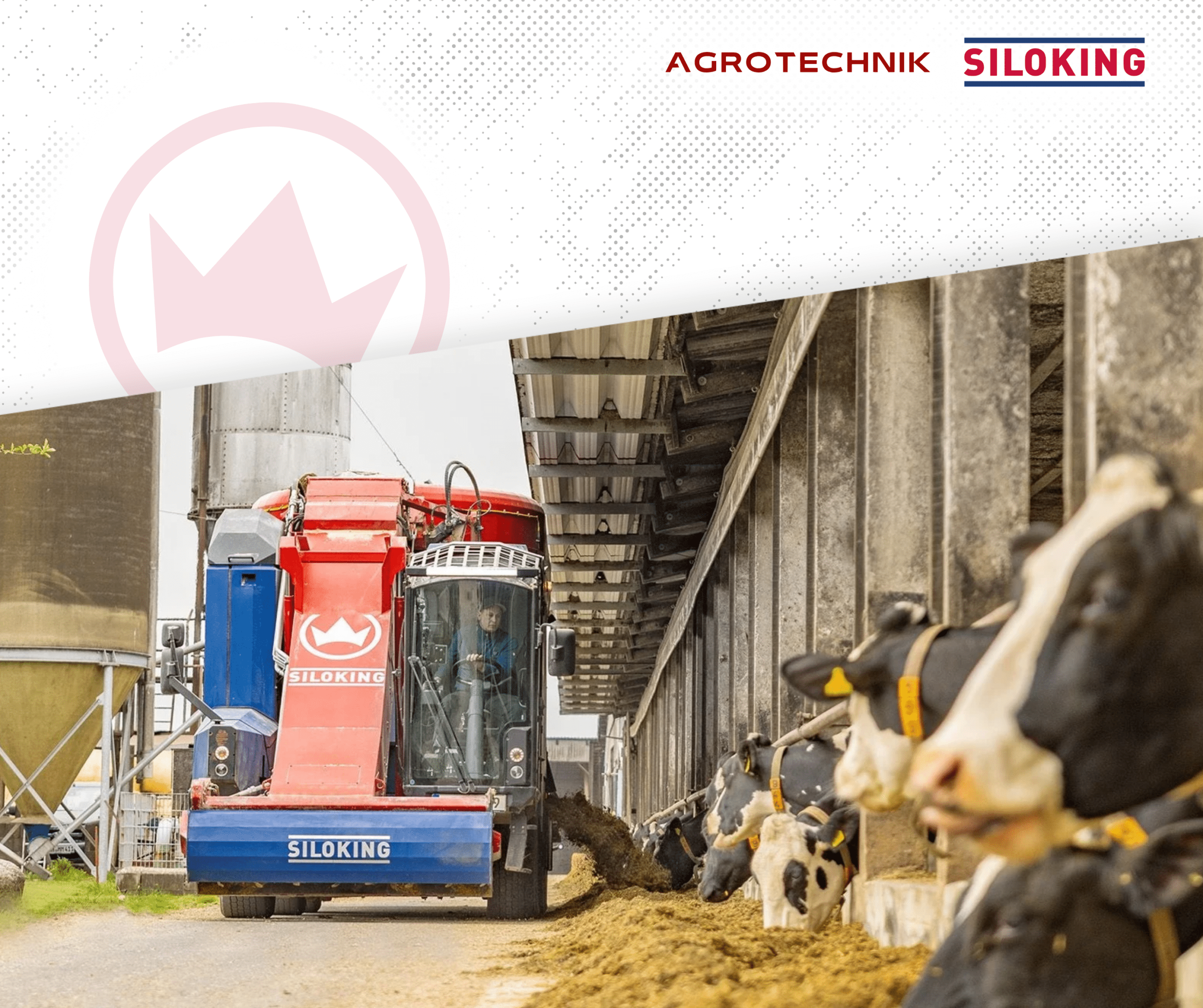 Projekt bez nazwy - 2026-02-12T160845.831